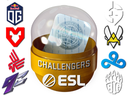 Rio 2022 Challengers Stickers