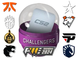 Shanghai 2024 Challengers Stickers