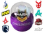 collection-icon