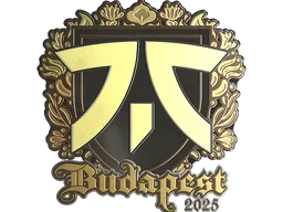 Sticker | fnatic (Gold) | Budapest 2025