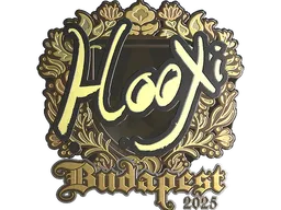 Sticker | HooXi (Gold) | Budapest 2025
