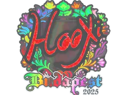 Sticker | HooXi (Holo) | Budapest 2025