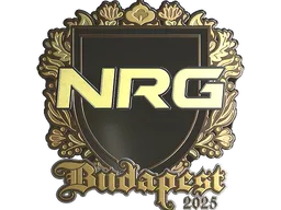 Sticker | NRG (Gold) | Budapest 2025