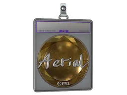 Sticker | Aerial (Foil) | Katowice 2019
