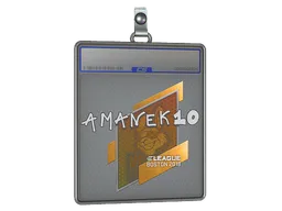 Sticker | AmaNEk | Boston 2018