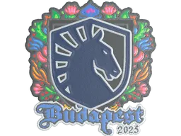 Sticker | Team Liquid (Embroidered) | Budapest 2025