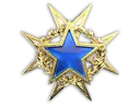 2015 Service Medal
