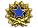 2017 Service Medal