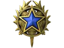 2020 Service Medal