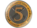 5 Year Veteran Coin