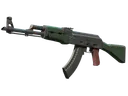 AK-47 | First Class (Factory New)