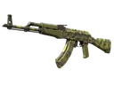 AK-47 | Olive Polycam (Factory New)