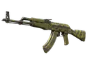 AK-47 | Olive Polycam (Well-Worn)