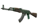 AK-47 | Wintergreen (Battle-Scarred)