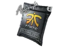 Autograph Capsule | Fnatic | Cologne 2015