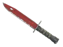 ★ Bayonet | Crimson Web (Field-Tested)