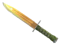 ★ Bayonet | Lore (Well-Worn)