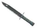 ★ Bayonet | Night (Field-Tested)