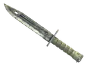 ★ Bayonet | Stained (Battle-Scarred)