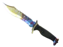 ★ Bowie Knife | Case Hardened (Minimal Wear)