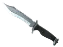 ★ Bowie Knife | Damascus Steel (Minimal Wear)