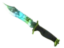★ Bowie Knife | Gamma Doppler (Minimal Wear)