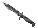 ★ Bowie Knife | Scorched (Field-Tested)