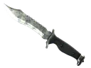 ★ Bowie Knife | Stained (Battle-Scarred)
