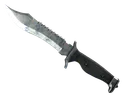 ★ Bowie Knife | Stained (Field-Tested)