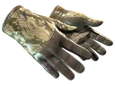★ Driver Gloves | Diamondback (Minimal Wear)