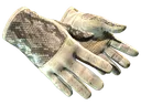 ★ Driver Gloves | King Snake (Well-Worn)