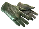 ★ Driver Gloves | Racing Green (Well-Worn)