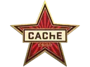 Genuine Cache Pin