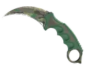 ★ Karambit | Boreal Forest (Well-Worn)