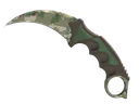 ★ Karambit | Forest DDPAT (Minimal Wear)