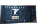 Katowice 2019 Viewer Pass