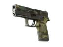 P250 | Boreal Forest (Battle-Scarred)