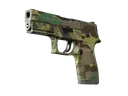 P250 | Boreal Forest (Field-Tested)