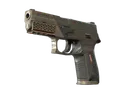 P250 | Bullfrog (Well-Worn)