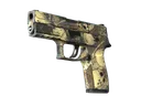 P250 | Contamination (Field-Tested)