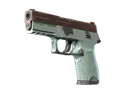 P250 | Copper Oxide (Field-Tested)
