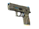 P250 | Exchanger (Factory New)