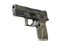 P250 | Exchanger (Well-Worn)