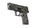 P250 | Facets (Field-Tested)