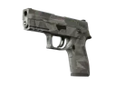 P250 | Facets (Minimal Wear)