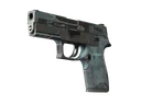 P250 | Forest Night (Battle-Scarred)