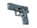 P250 | Forest Night (Minimal Wear)