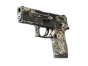 P250 | Gunsmoke (Battle-Scarred)