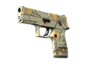 P250 | Modern Hunter (Factory New)