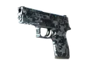 P250 | Steel Disruption (Minimal Wear)